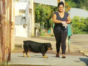 Laila tem 10 anos e impressiona pela inteligência no distrito de Caldas (MG) (Foto: Reprodução EPTV/Michel Diogo)