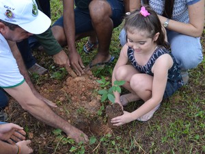 A Secretaria Municipal de Meio Ambiente de Ji-Paraná (RO) realizou na tarde desta quarta-feira (5) o plantio de mais de 30 mudas de árvores em torno de um lago localizado na Praça dos Cemitérios, na Avenida 2 de Abril. A ação faz parte das comemorações da (Foto: Hudson Pimentel/G1)
