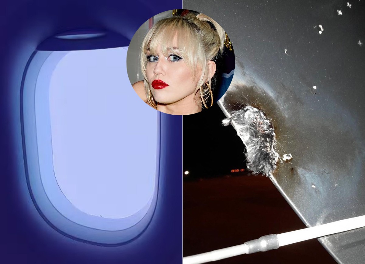 Avião em que Miley Cyrus viajava é atingido por raio e faz pouso forçado (Foto: Reprodução/Instagram)
