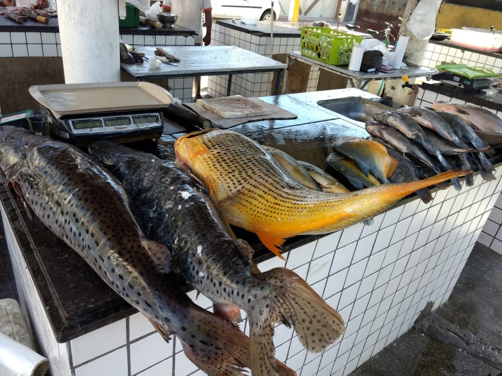 Venda de peixe em Petrolina  — Foto: Amanda Franco / TV Grande Rio