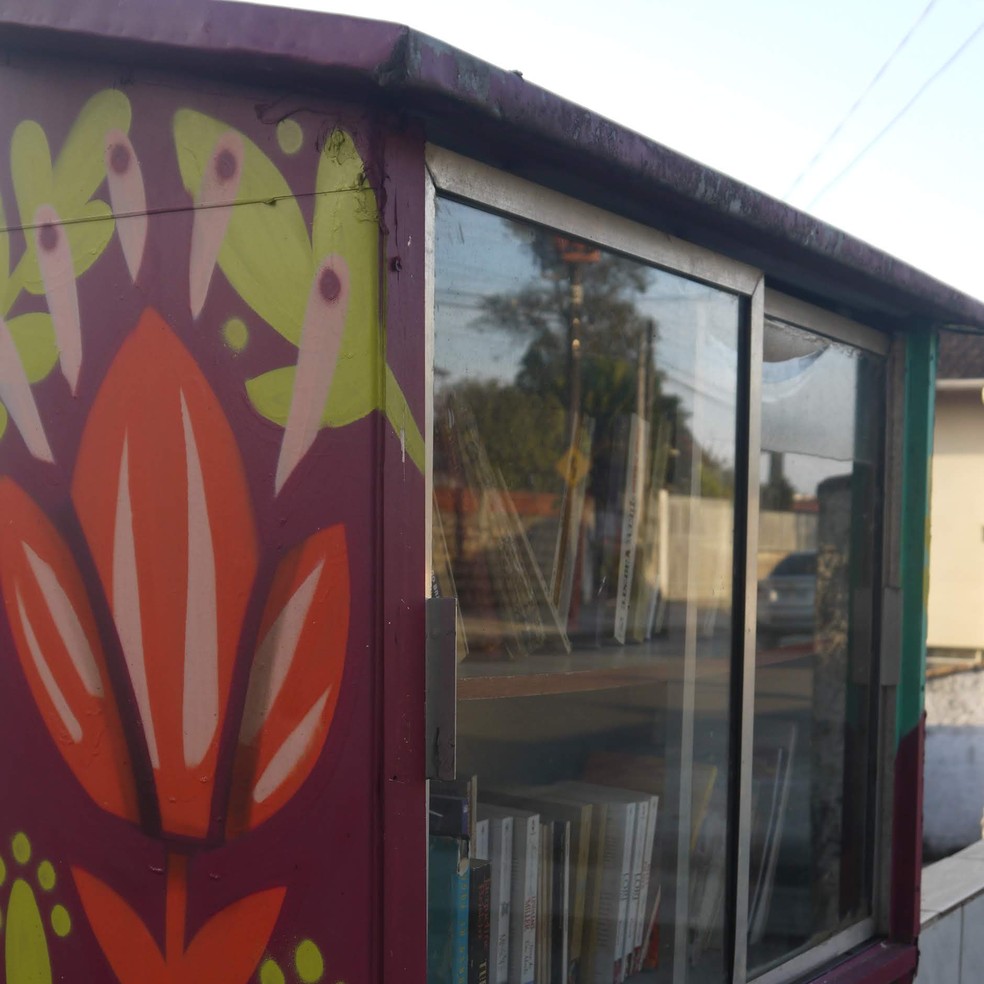Biblioteca de muro ganhou uma nova versão com estrutura reforçada  — Foto: Arquivo pessoal