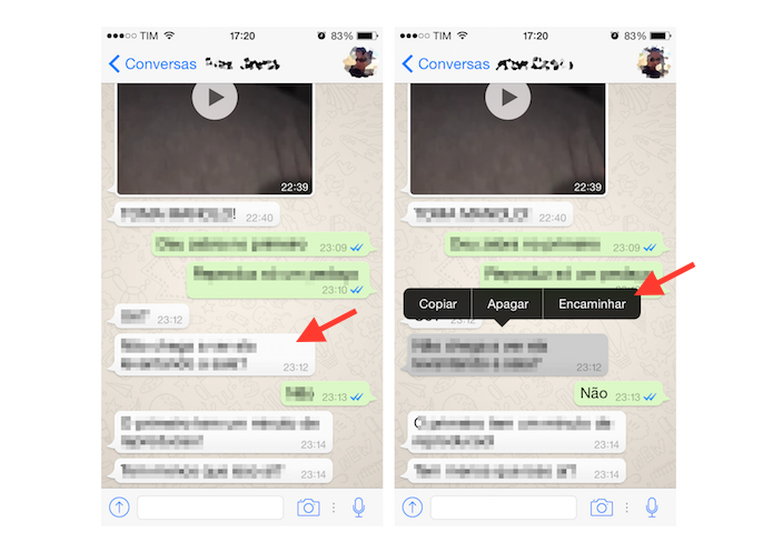 Encaminhando uma mensagem do WhatsApp no iPhone (Foto: Reprodução/Marvin Costa)