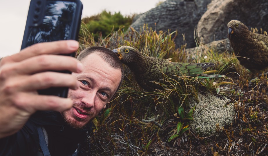 Turista tirando selfie com pássaros silvestres