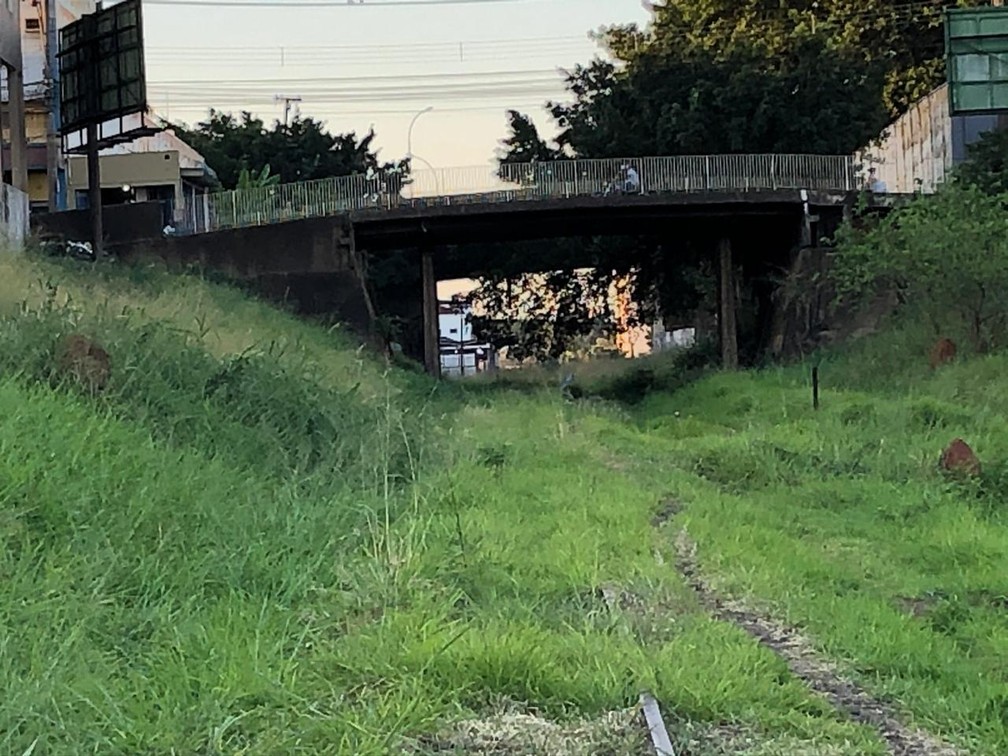 Ferrovia está abandonada na região de Presidente Prudente — Foto: Luís Augusto Pires Batista/TV Fronteira