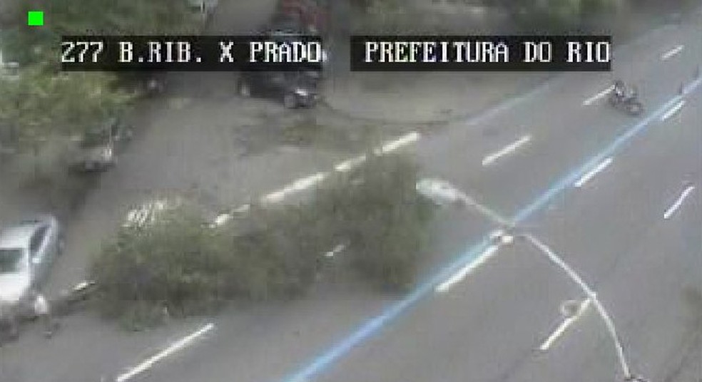 A´rvore foi derrubada pelos ventos fortes em Copacabana. (Foto: Reprodução/ Centro de Operações)