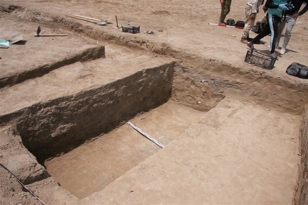 Parede encontrada durante escavações no Irã  (Foto: Institute of archaeology of the Russian academy of Sciences)