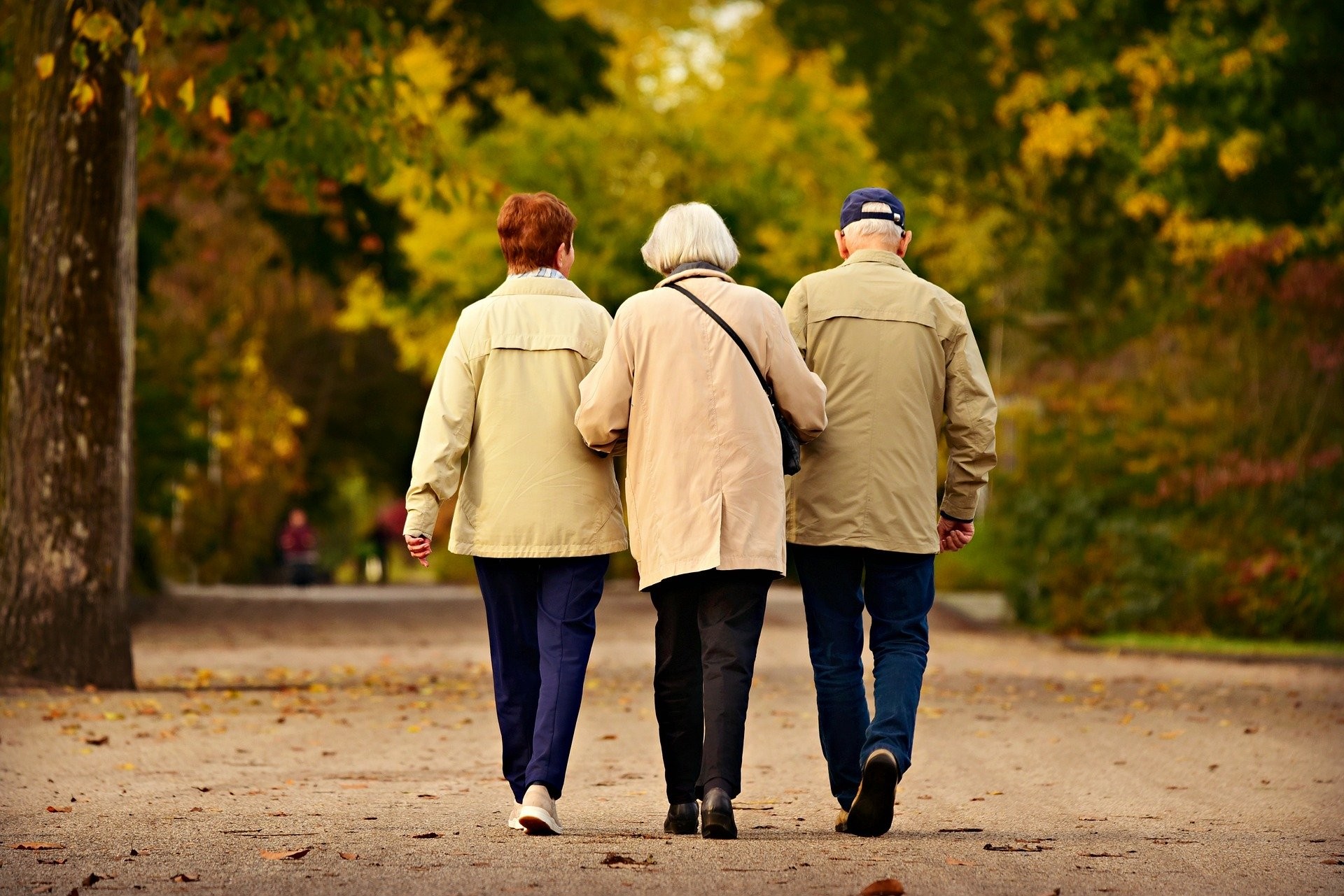 Cientistas apontam que ainda existem outros tipos de envelhecimento a serem estudados (Foto: MabelAmber / Pixabay)