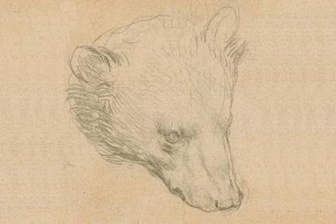 Pequeno desenho de Da Vinci foi leiloada nesta quinta-feira, mas não bateu recorde (Foto: Reprodução/Twitter)