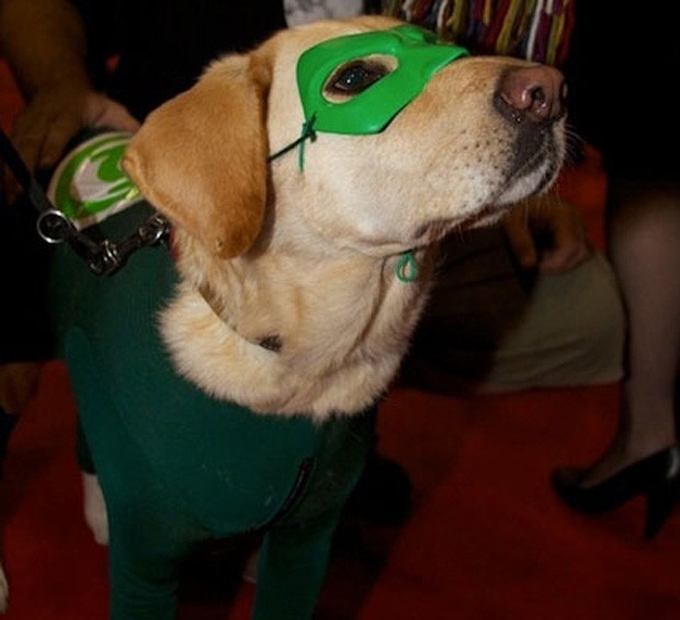 Lanterna Verde versão 'canina' também aparece na lista (Foto: Reprodução)