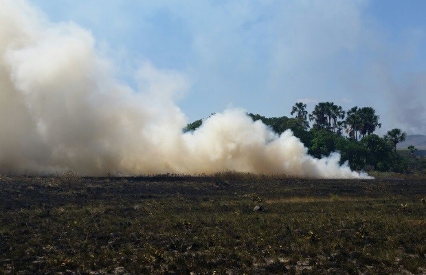 Incêndio atinge 11 mil hectares do Parque Nacional da Chapada dos Veadeiros em Alto Paraíso de Goiás (Foto: Divulgação/ICMBio)