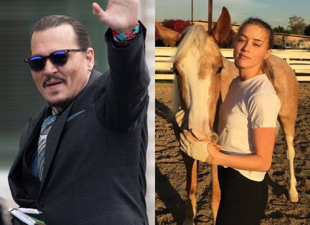 Johnny Depp e Amber Heard dividem a guarda do cavalo Arrow (Foto: Getty Images // Instagram/@amberheard/Reprodução)