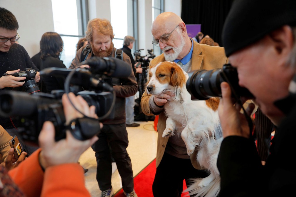 Nederlandse Kooikerhondjes Ã© apresentado â€” Foto: Lucas Jackson/Reuters