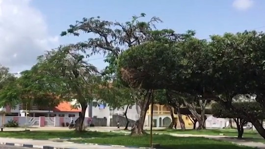 Prostitutes Itamaraju