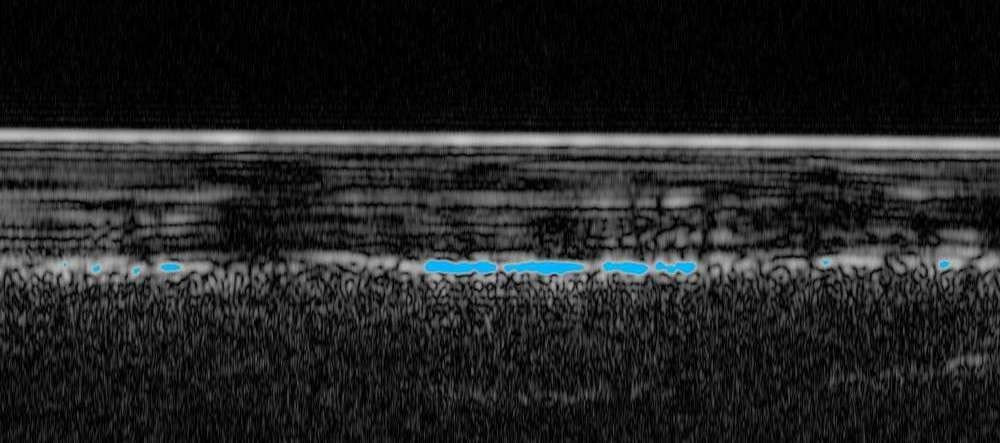 Registro da sonda detectando a presença de água (Foto: Divulgação/ESA)