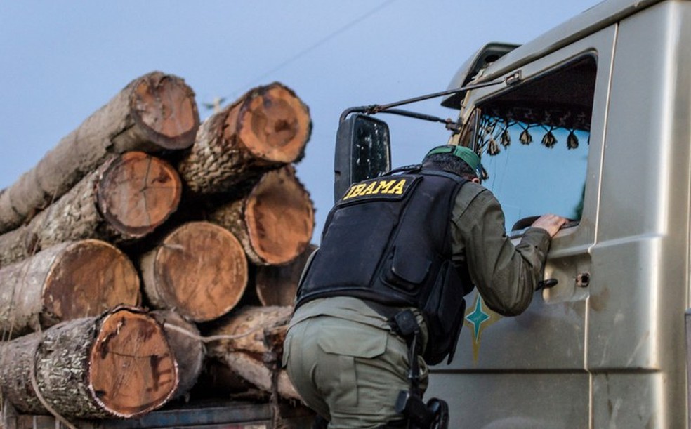 Analista ambiental ibama pode ter tatuagem Servidores Do Ibama Denunciam Que Fiscalizacao Ambiental Esta Paralisada Apos Decisao De Salles Natureza G1
