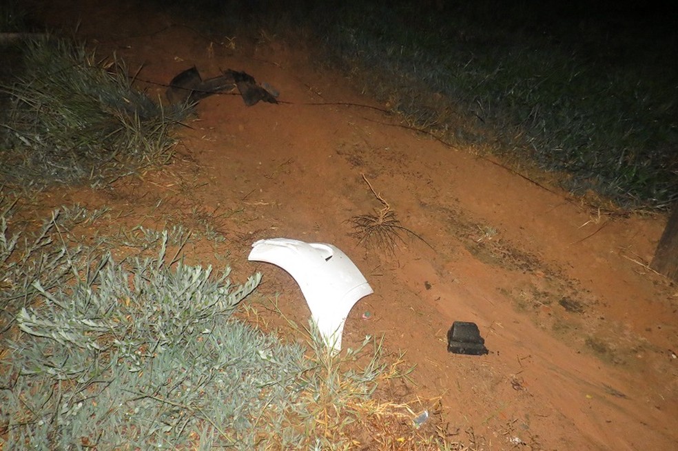 Boi é atropelado por carro em Dracena — Foto: Jorge Zanoni 