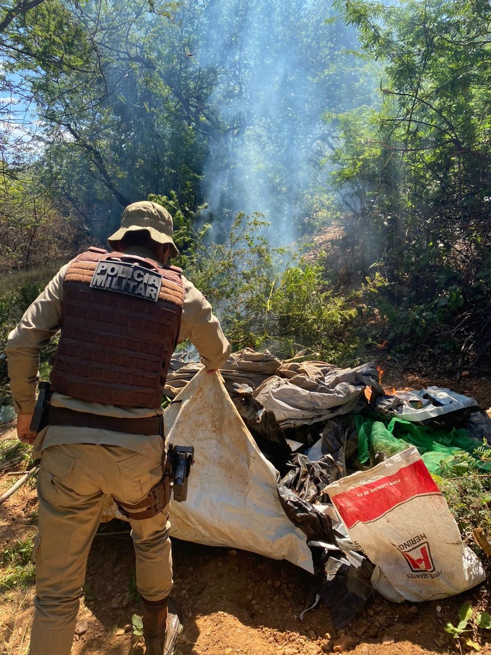 Ro&ccedil;a foi incinerada e acampamento foi destru&iacute;do na cidade de Casa Nova &mdash; Foto: Divulga&ccedil;&atilde;o/SSP