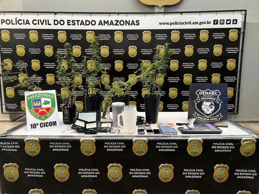 Maconha era do tipo californiana. — Foto: Divulgação/PC