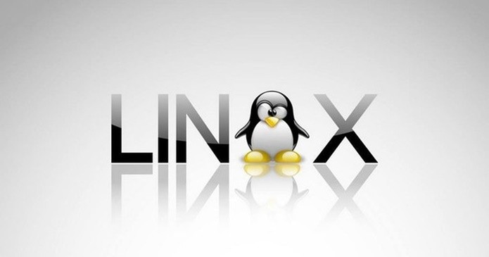 O Linux é compatível com uma grande variedade de sistemas de arquivos (Foto: Divulgação/Linux) 
