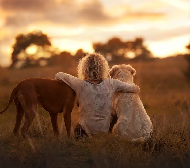 Cachorros são como crianças: trazem alegria ao lar (Foto: The Odissey Online/ Reprodução)
