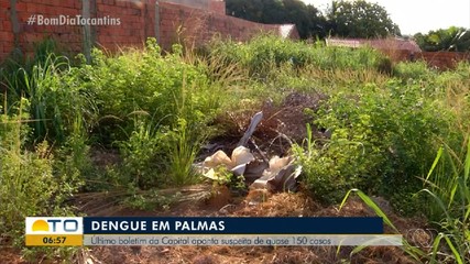 Boletim em Palmas aponta quase 150 casos suspeitos de dengue