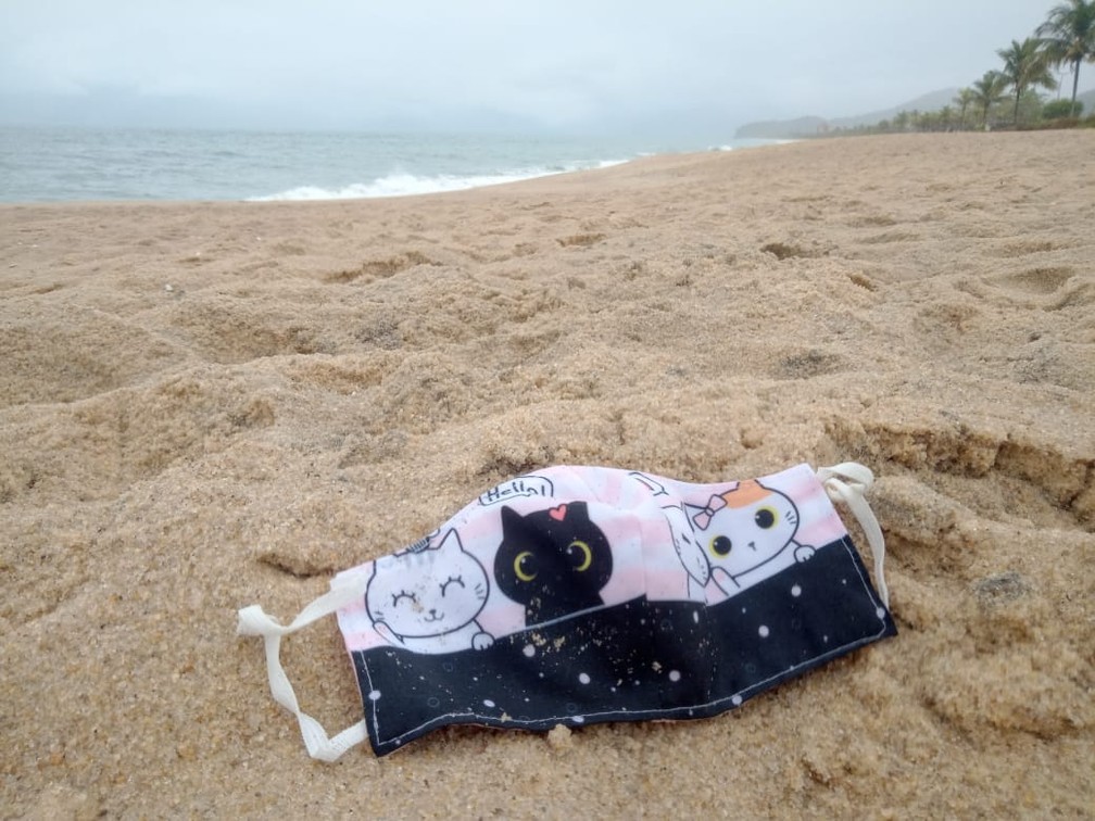 Ao todo mais de 20 m&aacute;scaras foram encontradas nas areias do litoral norte at&eacute; o dia 7 de julho &mdash; Foto: Divulga&ccedil;&atilde;o/Instituto Argonauta
