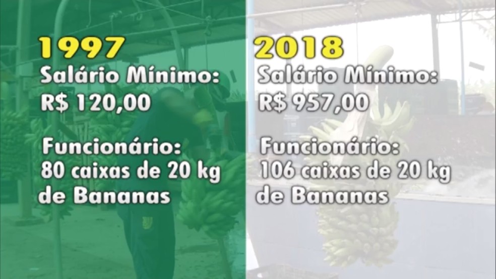 Proporcionalmente, os valores cobrados pela caixa de banana sÃ£o ainda menos vantajosos para o produtor rural â Foto: ReproduÃ§Ã£o/ Inter TV