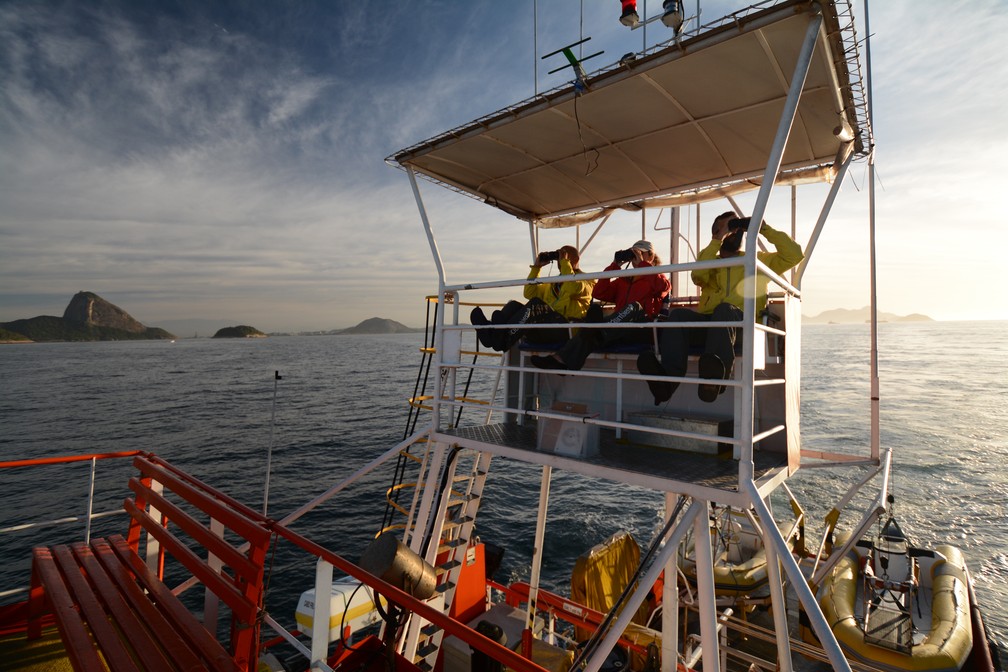 Pesquisadores em embarcaÃ§Ã£o durante expediÃ§Ã£o para registro de animais na Bacia de Santos â Foto: DivulgaÃ§Ã£o/Socioambiental