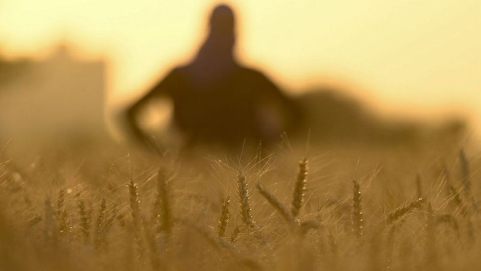 Agricultura é principal fonte de emissões de N2O a partir da atividade humana — Foto: Getty Images via BBC