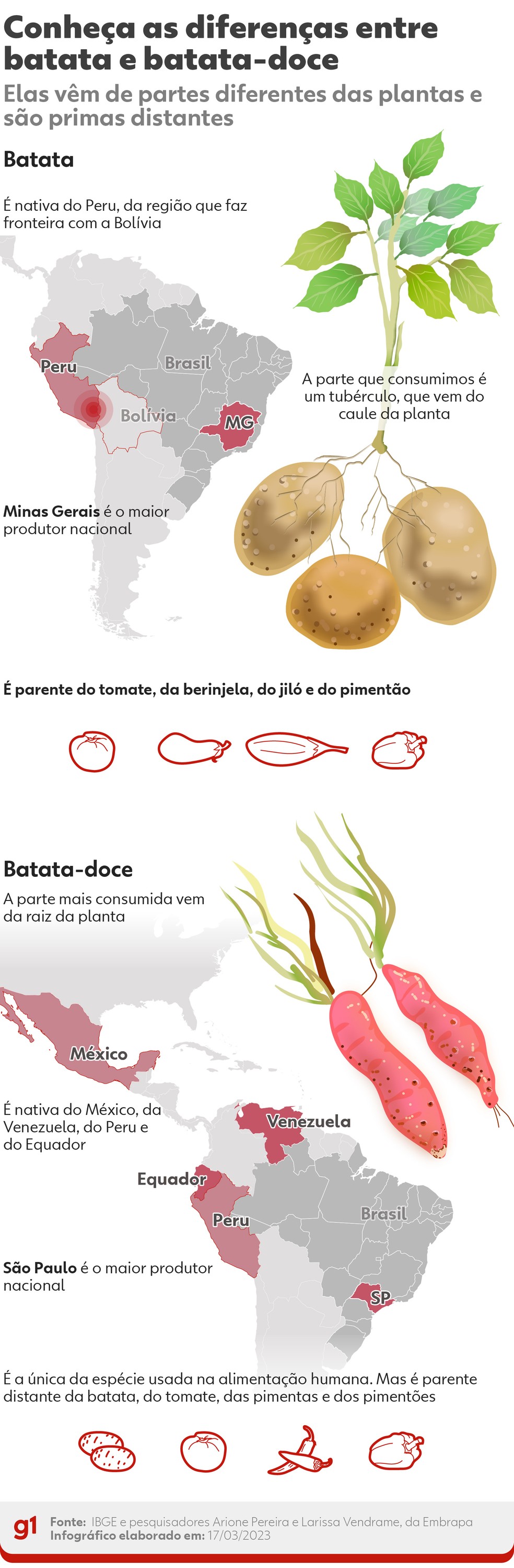 Batata e batata-doce: entenda as diferenças entre elas. — Foto: g1