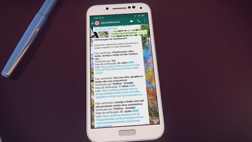 Perfil João Fake News no Whatsapp — Foto: TV Globo/Reprodução