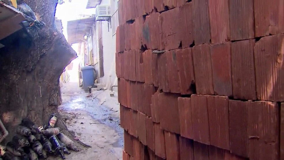 Ex-morador de rua recebeu doação de tijolos para construção de casa de alvenaria (Foto: Reprodução/TV Globo)