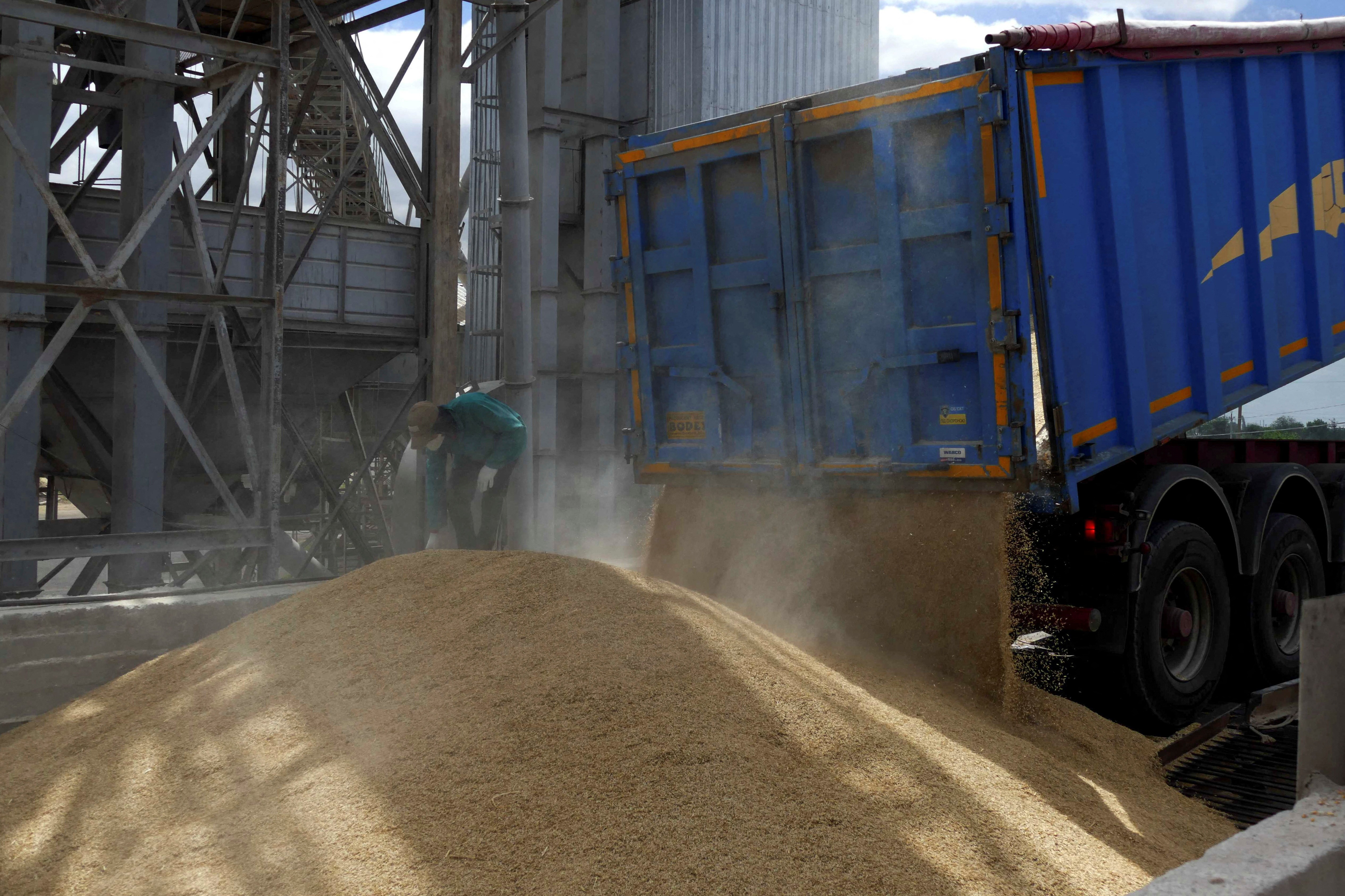 Caminhão descarrega grãos em Odessa, na Ucrânia (Foto: REUTERS/Igor Tkachenko)