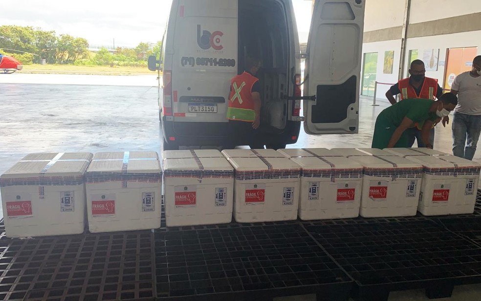 Vacinas chegaram em avião, foram transferidas para veículo e levadas para a sede do Graer — Foto: Giana Mattiazzi/TV Bahia