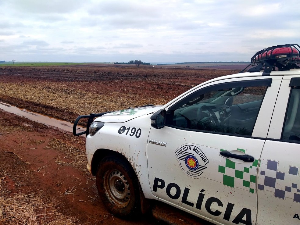 Conforme a polícia, 329 hectares foram queimados — Foto: Polícia Ambiental 