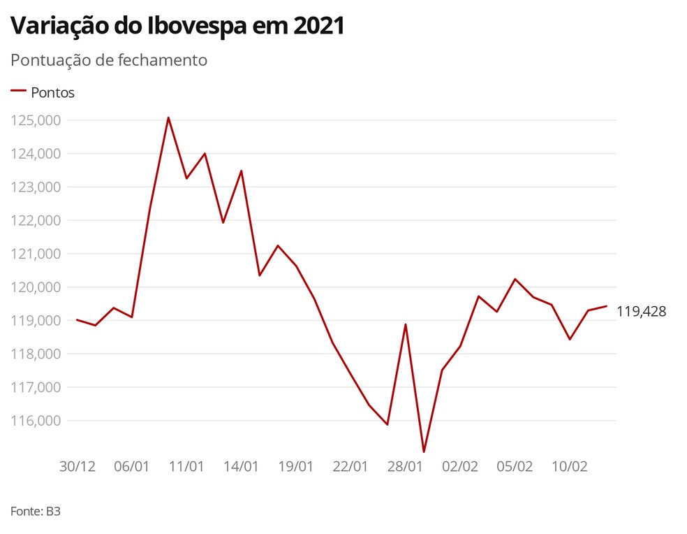 Variação do Ibovespa em 2021 — Foto: Economia G1