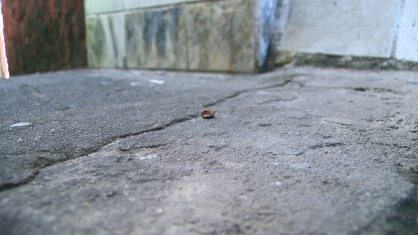 Jovem Morre E Outros Dois Ficam Feridos Em Tiroteio Em Vitoria Espirito Santo G1 jovem morre e outros dois ficam feridos