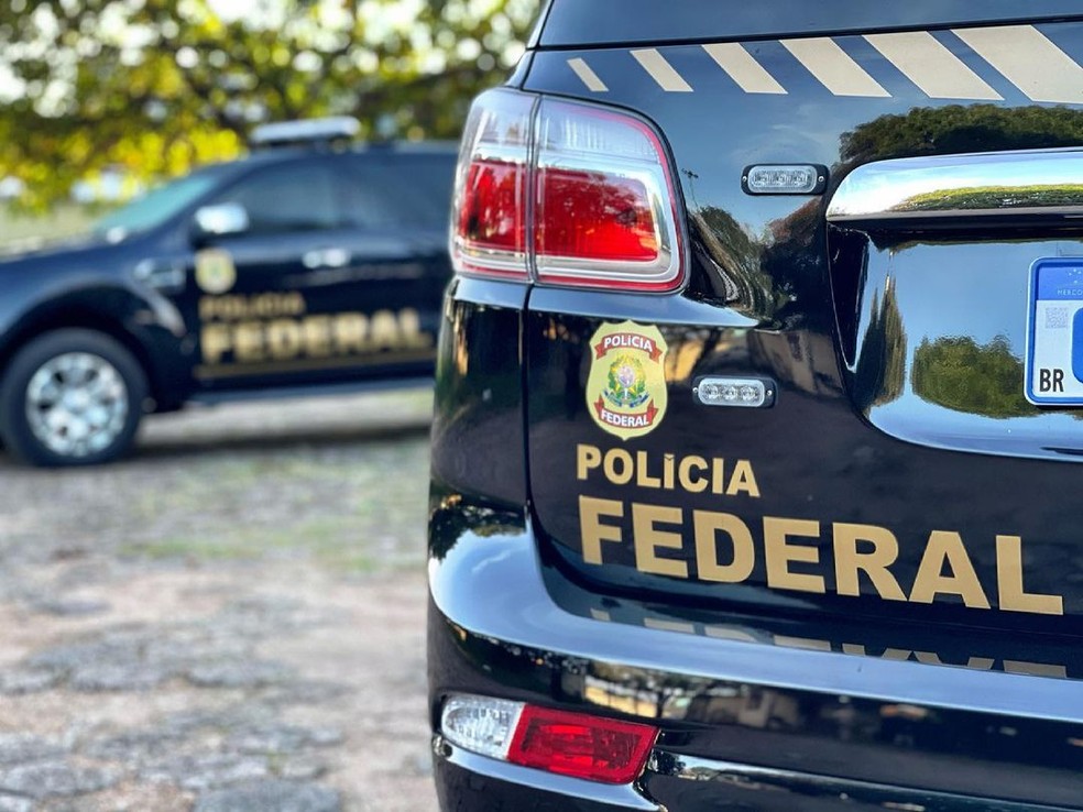 Viaturas da Polícia Federal  — Foto: PF/Divulgação