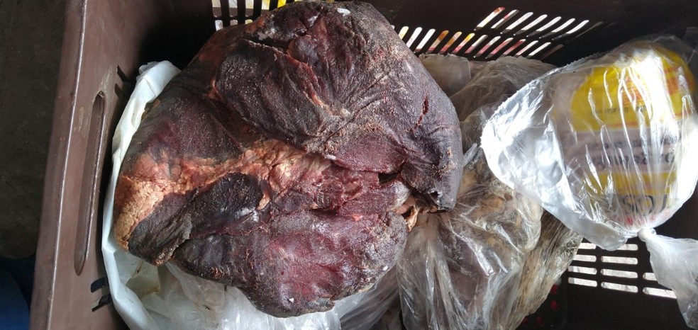 Vigilância apreendeu toneladas de carne bovina estragada em nove meses de fiscalização em Maceió — Foto: SMS
