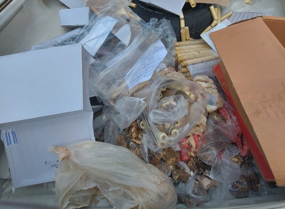 Material foi apreendido e alimentos clandestinos foram inutilizados  — Foto: Vigilância Sanitária