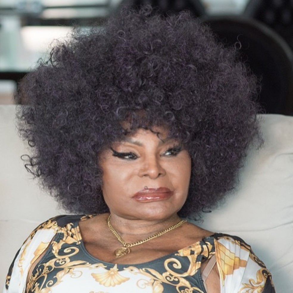 Regina Case E Mais Famosos Celebram Aniversario De 90 Anos De Elza Soares Famosos Gshow