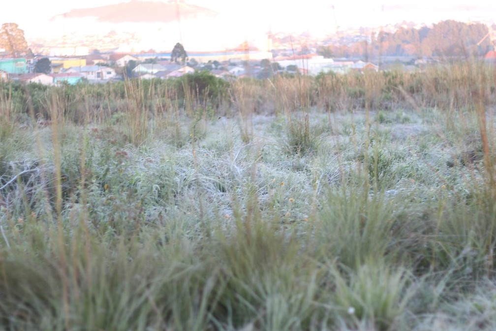 Campos ficaram cobertos pela geada em Lages — Foto: Pablo Gomes/ Prefeitura de Lages