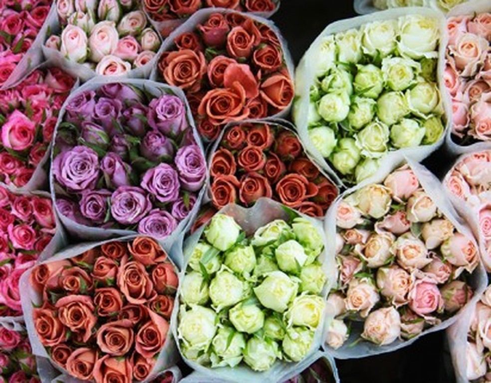 11ª edição da Ceagesp em Flor marca a retomada da Festa da Primavera em Bauru — Foto: Ceagesp/Divulgação