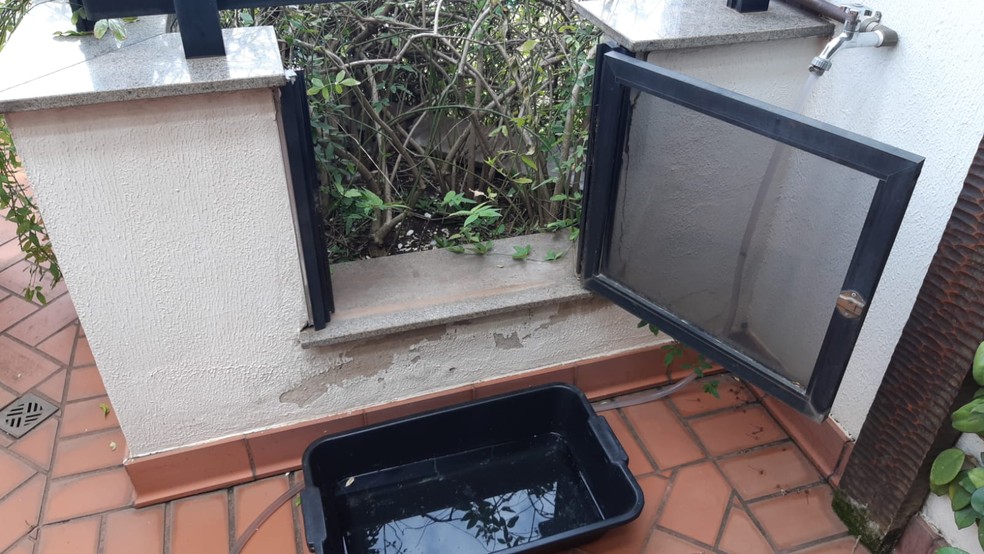 Local onde pata fez ninho em 14º andar de prédio em Piracicaba — Foto: Edijan Del Santo/EPTV