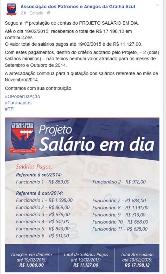 Paraná Clube torcida Associação dos Patronos e Amigos da Gralha Azul (Foto: Reprodução/Facebook)