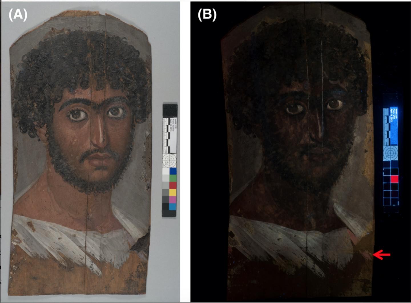 Retrato encontrado junto à múmia egípcia pode trazer muitas informações sobre sua origem  (Foto: Museu de Arte de Walters)