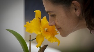 Visitante sente o aroma de orquídea - Foto: Márcia Foletto / Agência O Globo