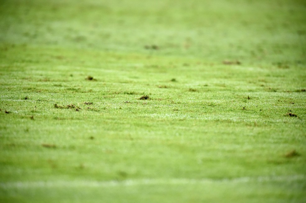Gramado foi alvo de críticas públcias por parte do Flamengo — Foto: André Durão / ge