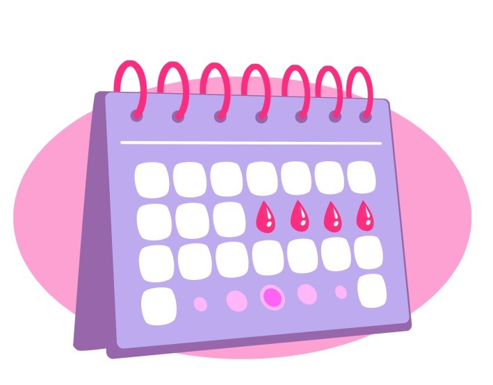 Ilustração de um calendário rosa e roxo com marcações de período fértil e ciclo menstrual (Foto: Divulgação)