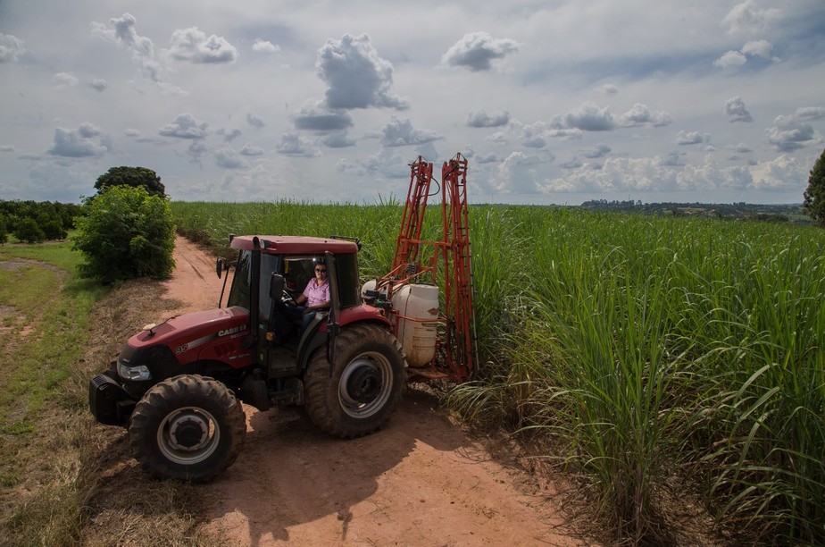 Gilberto Fillipini ampliou sua área plantada de cana-de-açúcar em Holambra, no interior de SP